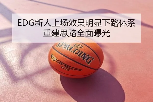 EDG新人上场效果明显下路体系重建思路全面曝光